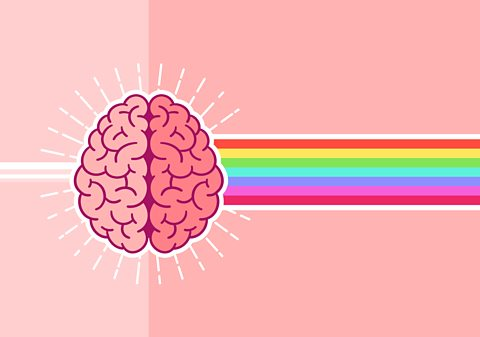 Animated picture of a brain