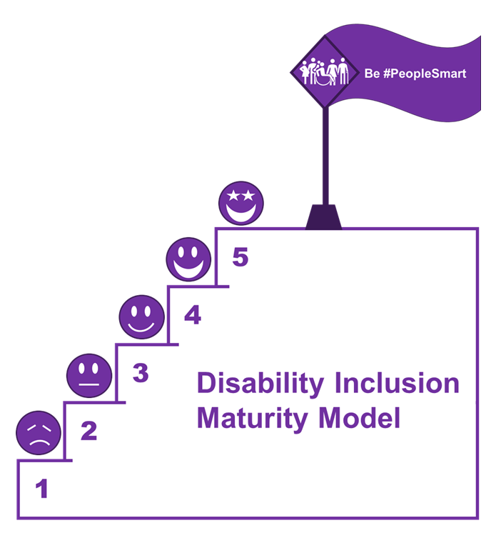 Disability Inclusion Maturity Model - Microlink