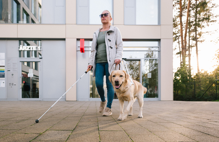 A visually impaired lady walking with guide dog